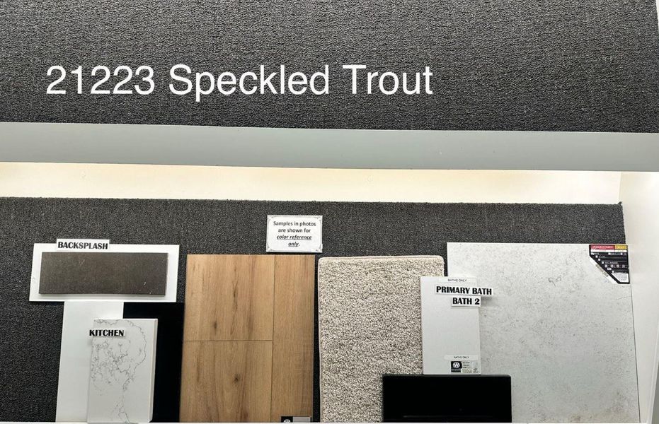 Image 14 of a home in Bridgeland 40'.