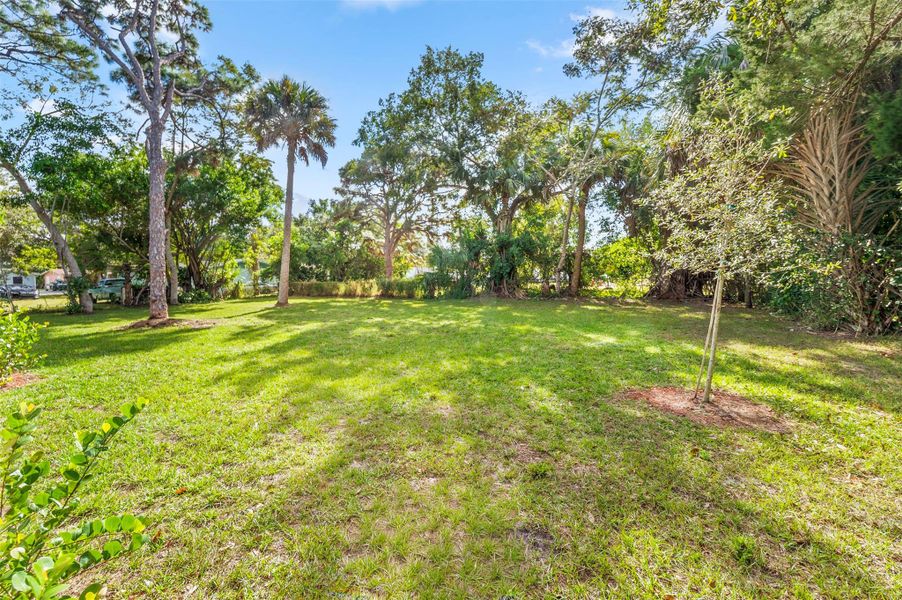 Natural landscape and outdoor views near  in Fort Pierce (Image 27).