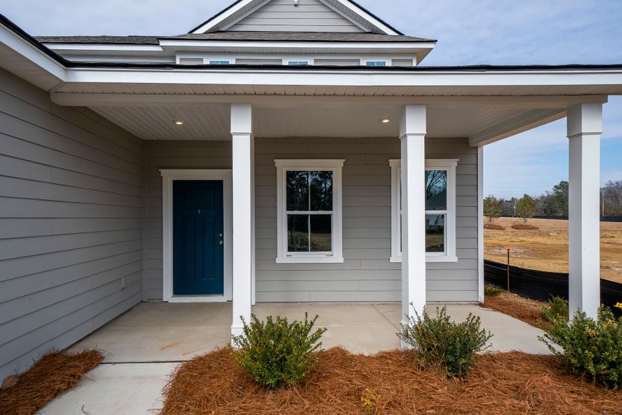 Exterior details and patio area of a home in Monroe Preserve, Chapin (Image 33).