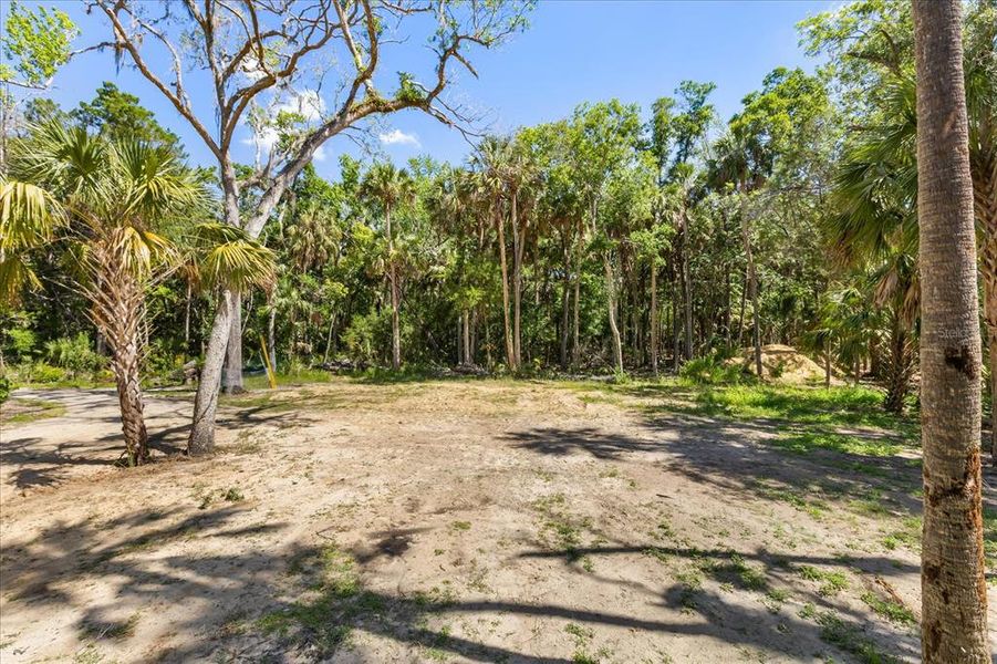 Natural landscape and outdoor views near  in Homosassa (Image 33).
