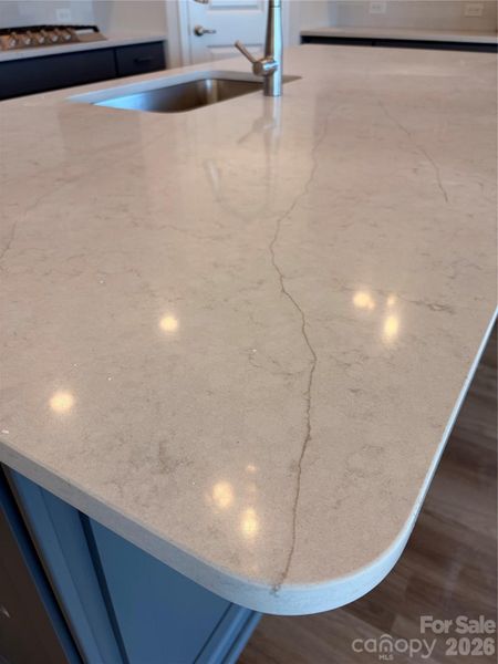 Close-up of interior finishes inside a home in Encore at Harmony, Harrisburg (Image 21).