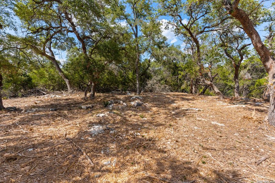Natural landscape and outdoor views near  in New Braunfels (Image 12).