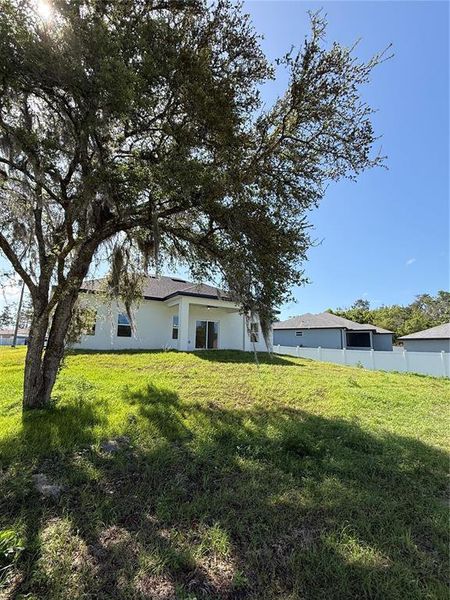 Natural landscape and outdoor views near  in Ocala (Image 43).