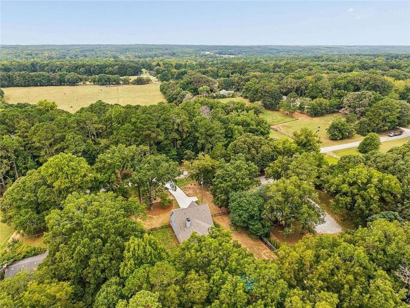 Natural landscape and outdoor views near  in Covington (Image 43).