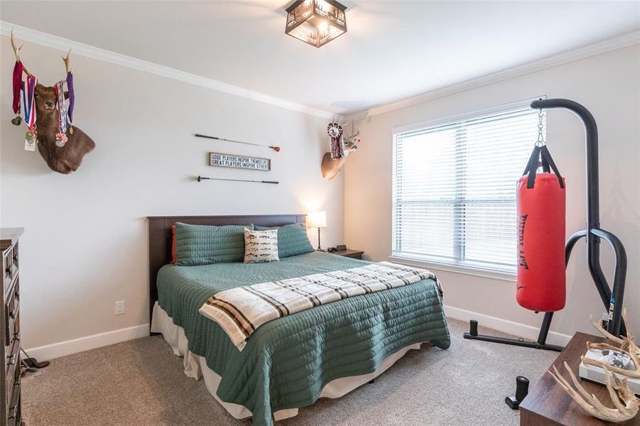 Furnished interior view inside a new home in , Clyde (Image 28).