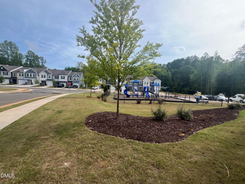 Playground and neighborhood