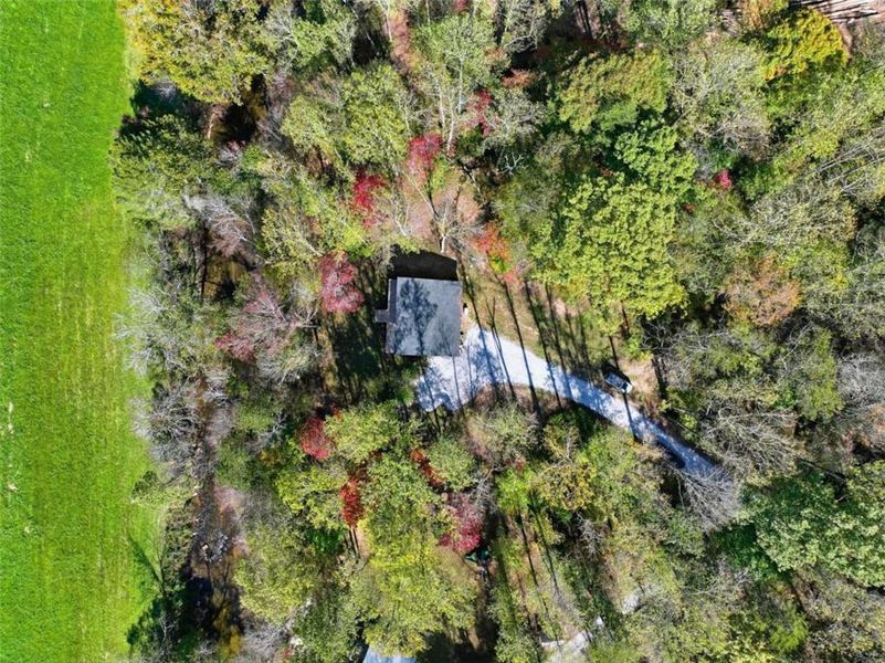Natural landscape and outdoor views near  in Ellijay (Image 29).