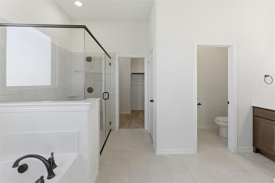 Bathroom with vanity, a stall shower, a bath, and a walk in closet Bathroom with vanity, a stall shower, a bath, and a walk in closet