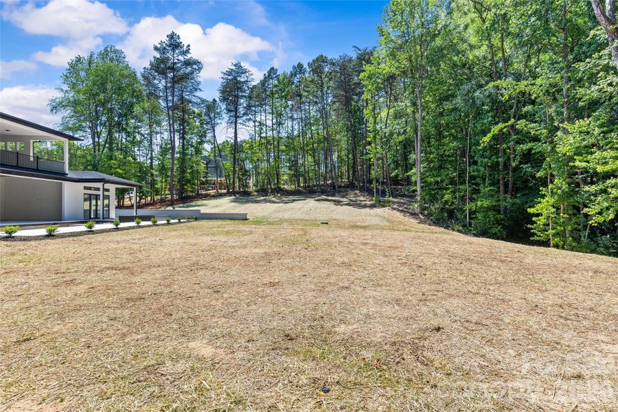 Natural landscape and outdoor views near  in Davidson (Image 36).