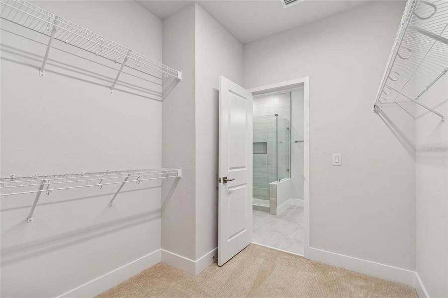 Spacious, unfurnished interior of a new home in Apex at Seminole Heights, Tampa (Image 40). Spacious, unfurnished interior of a new home in Apex at Seminole Heights, Tampa (Image 40).