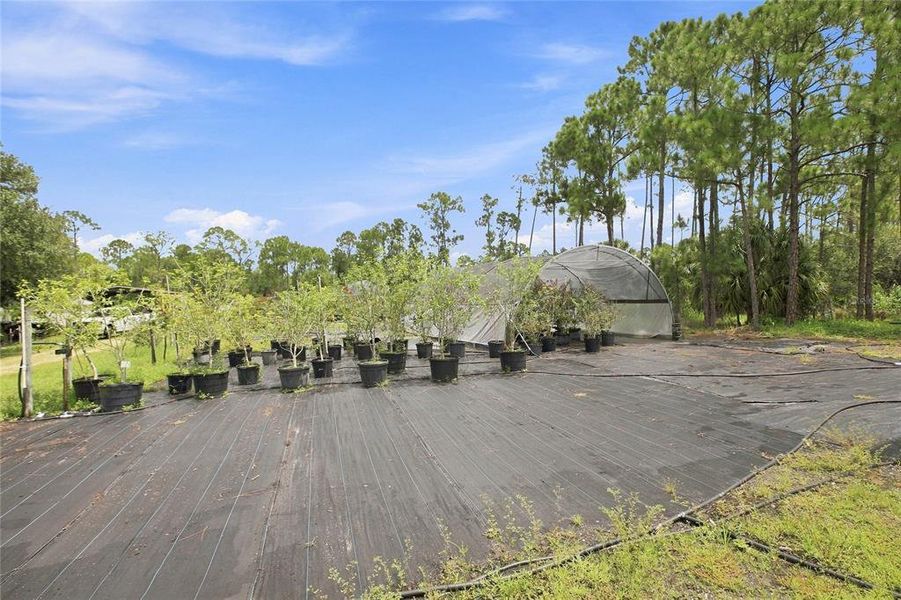 Community amenities in , North Port (Image 36). Community amenities in , North Port (Image 36).