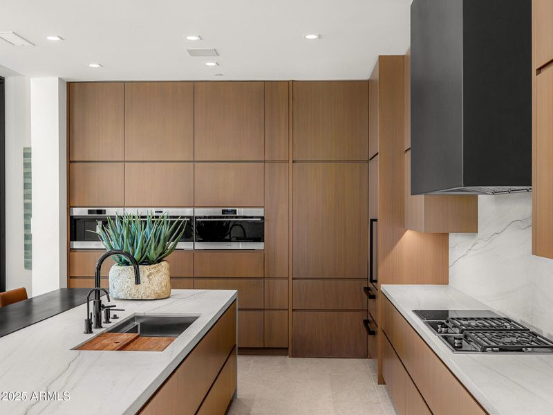 luxury kitchen4 luxury kitchen4