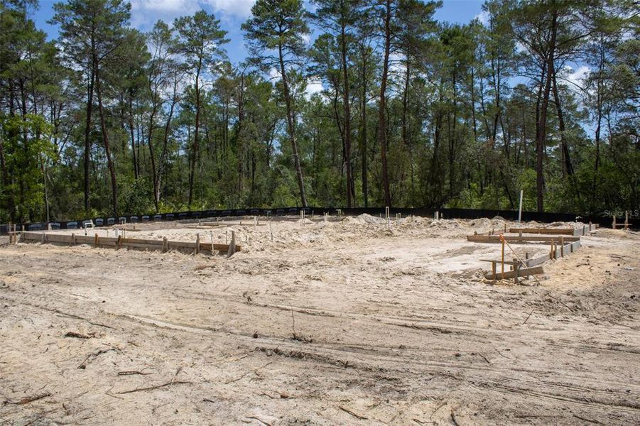 Site preparation for new homesites in , Beverly Hills (Image 7).