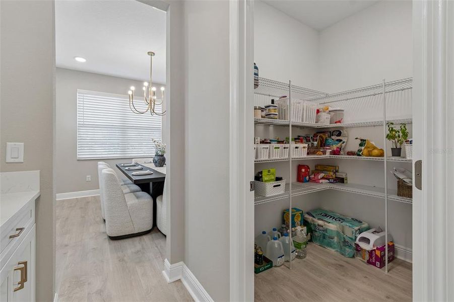 Furnished interior view inside a new home in Whispering Oaks Preserve, Wesley Chapel (Image 32).