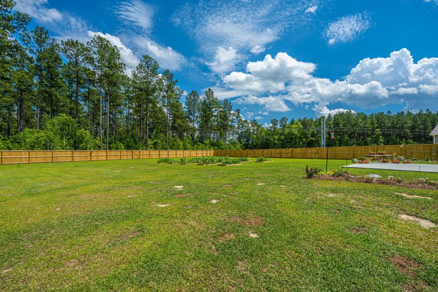 Natural landscape and outdoor views near French Quarter Creek in Huger (Image 61).