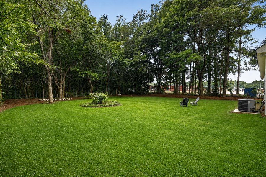 Natural landscape and outdoor views near  in Kingstree (Image 20).