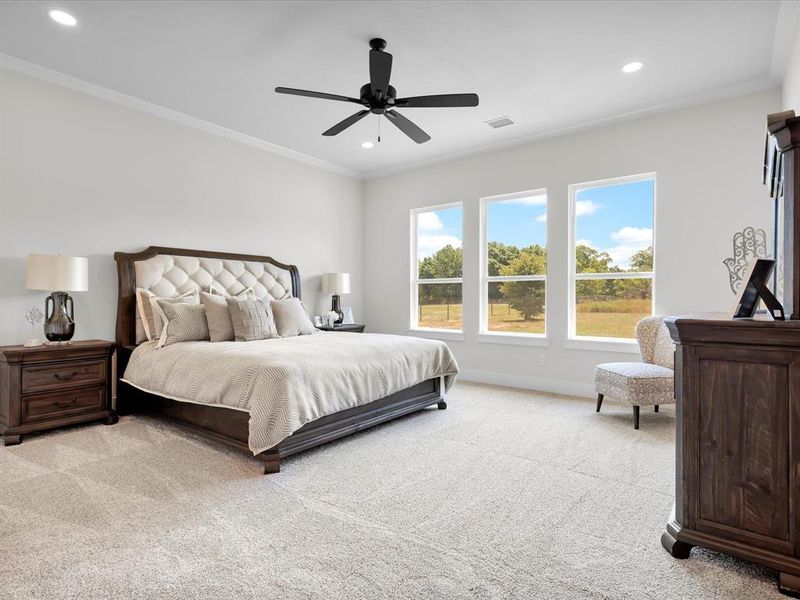 Primary bedroom with great views and crown molding.