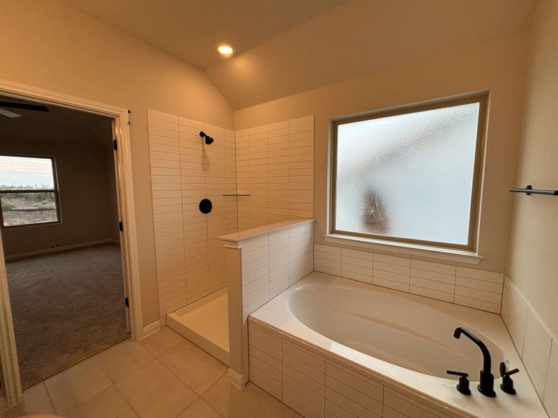 Primary bath Primary bath