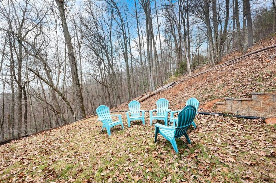 Community amenities in , Dahlonega (Image 48).