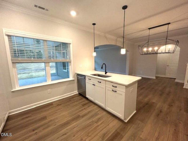 IMG_5022 (Medium) IMG_5022 (Medium)