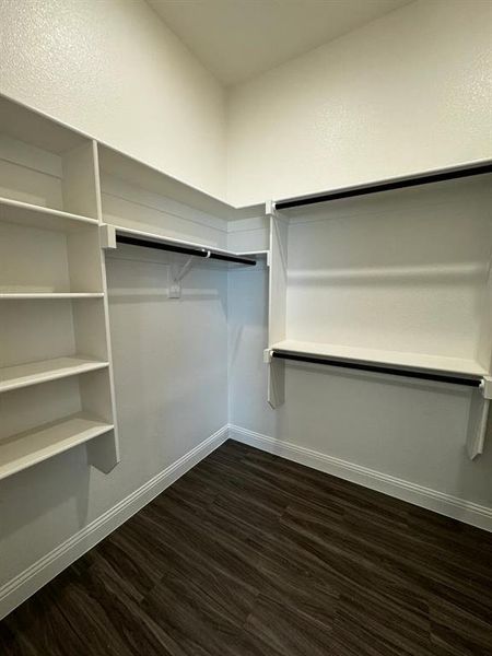 Walk in closet featuring dark wood-type flooring