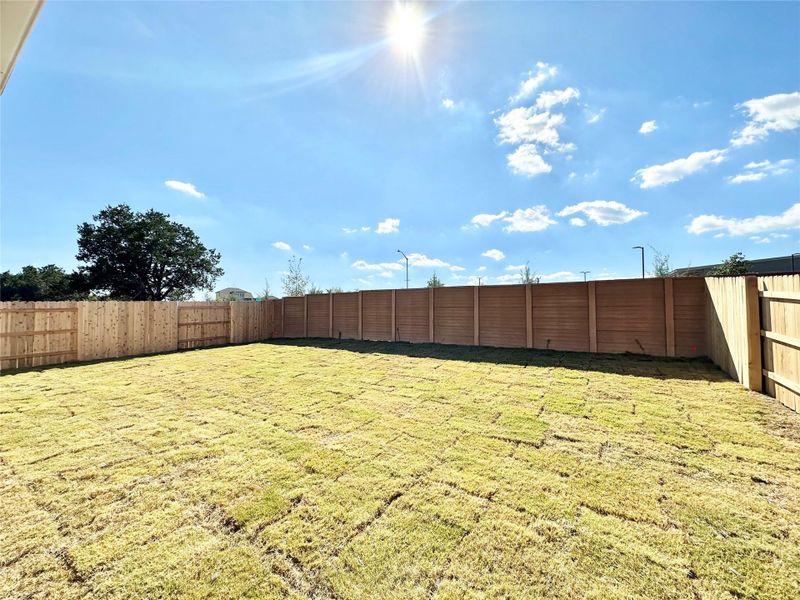 View of fenced backyard