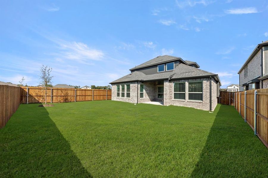 27. 2415 Haley - Back (2) 27. 2415 Haley - Back (2)