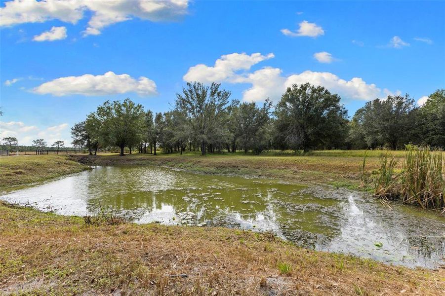 Natural landscape and outdoor views near  in Myakka City (Image 60).