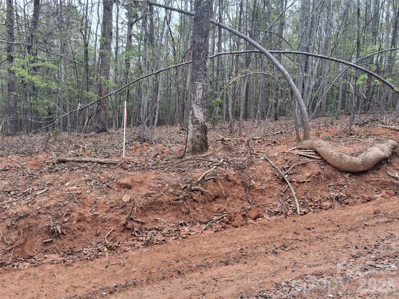 Site preparation for new homesites in , Morganton (Image 13).
