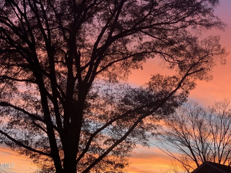 sunset epic at 619