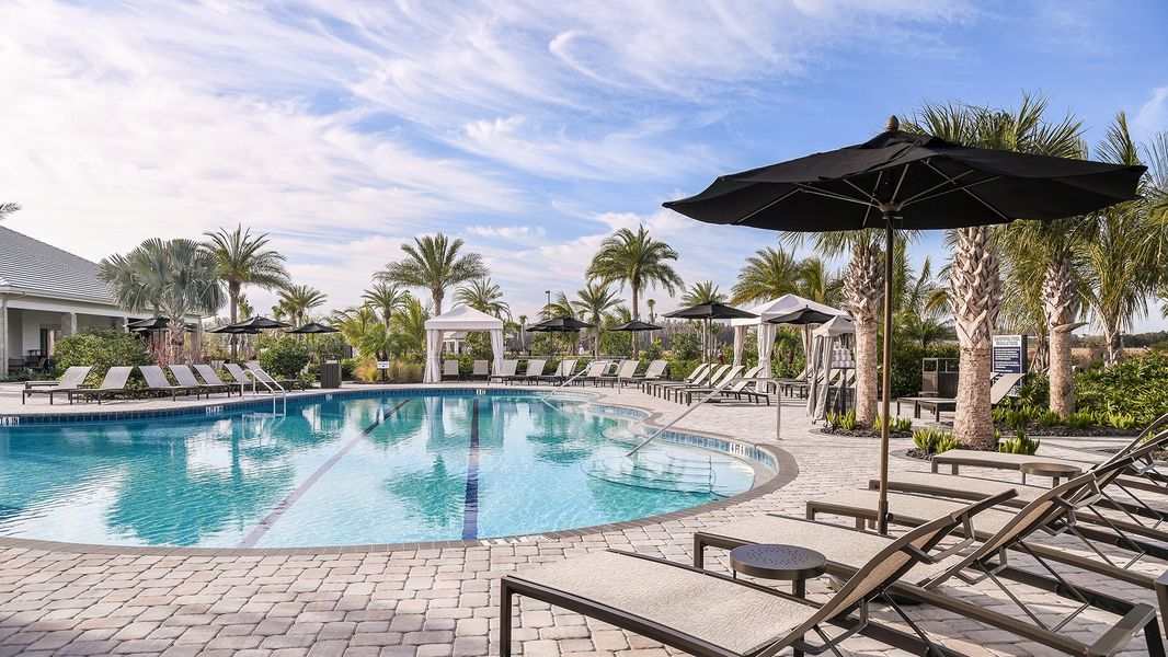 Community amenities associated with the Roma by Taylor Morrison in Esplanade at Wiregrass Ranch, Wesley Chapel (Image 15). Community amenities associated with the Roma by Taylor Morrison in Esplanade at Wiregrass Ranch, Wesley Chapel (Image 15).