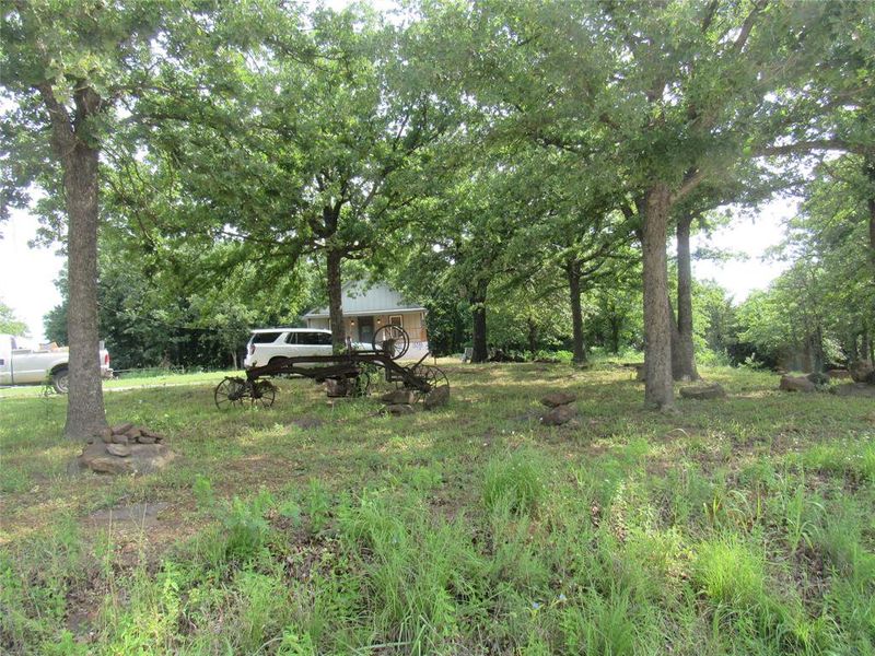 Natural landscape and outdoor views near  in Gainesville (Image 24).