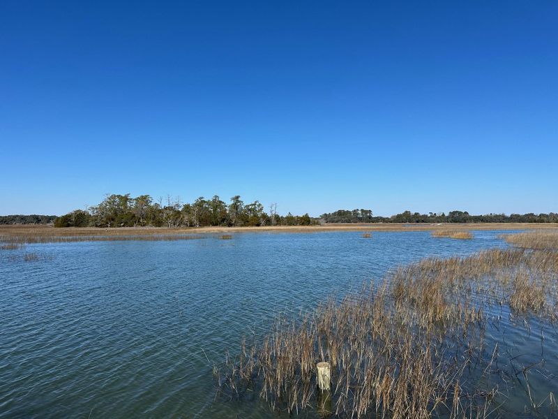 Natural landscape and outdoor views near  in Wadmalaw Island (Image 4).