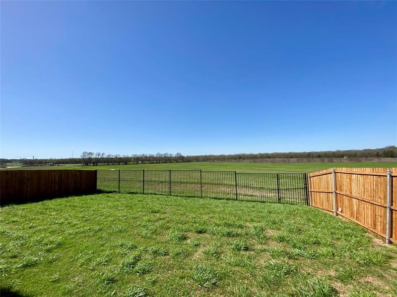 Private back yard looks past iron fence w/gate to serene nature area! Wood fence on the sides for privacy. Community pond on right side so only one neighbor!