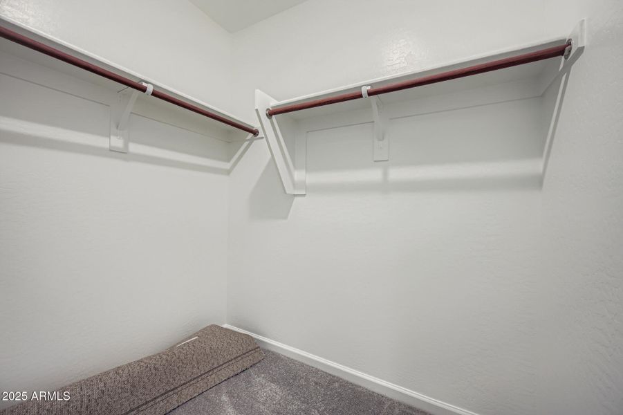 Owners Walk in Closet