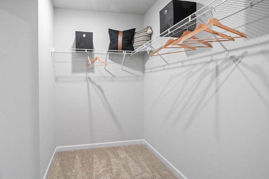 A room with a bed and a rug. A room with a bed and a rug.