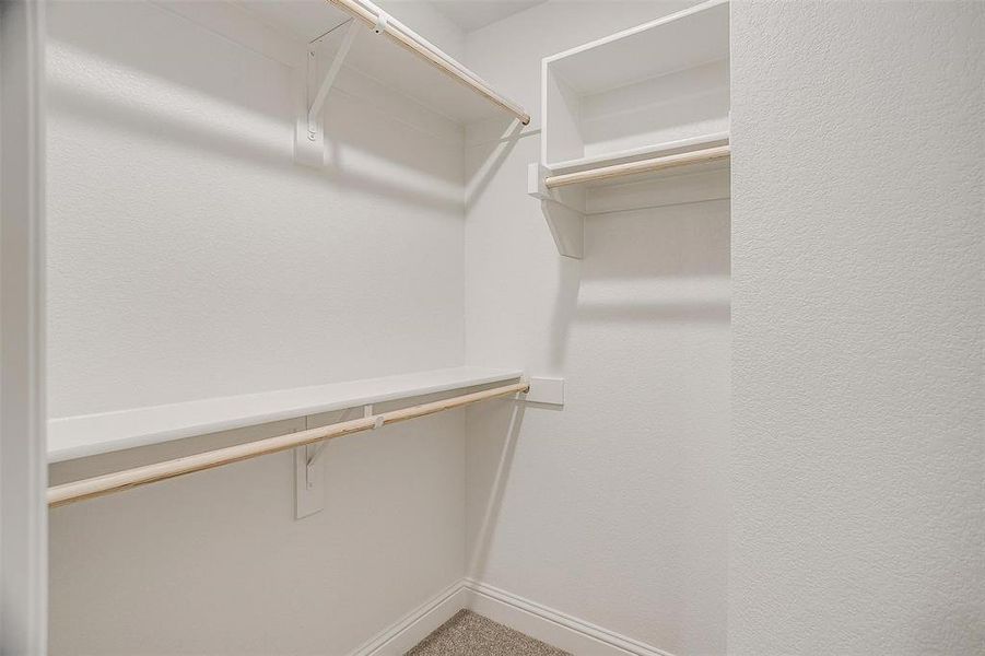 Walk in closet featuring carpet flooring