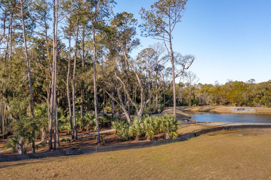 Natural landscape and outdoor views near Liberty Hill Farm in Mount Pleasant (Image 37).