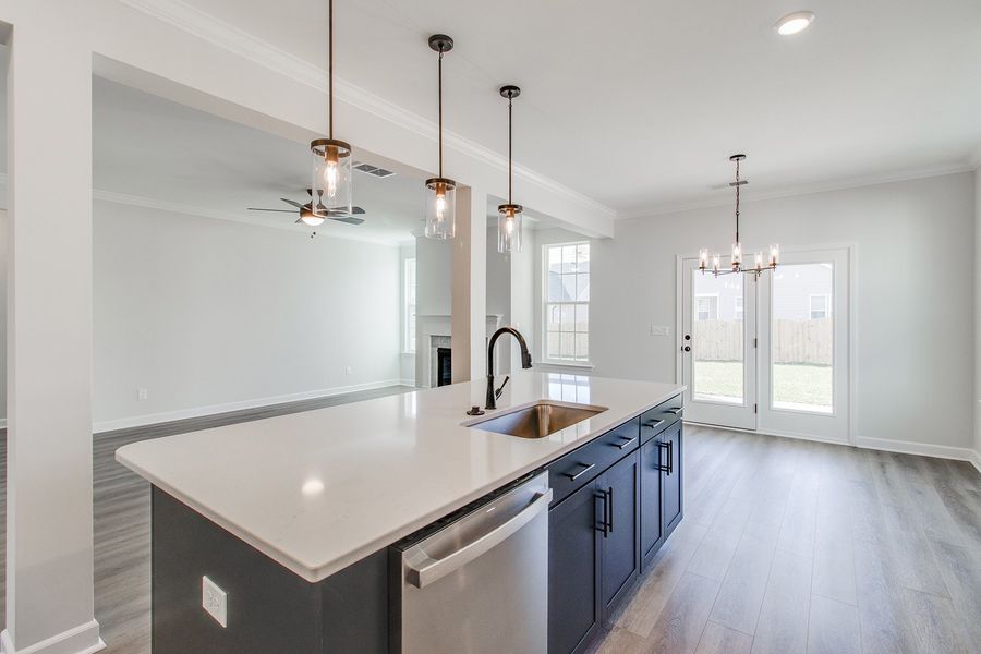 Furnished interior view inside a new home in Pebble Branch, Chapin (Image 10).