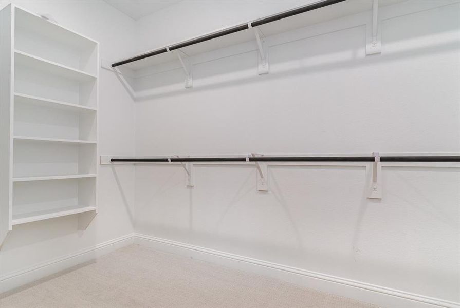 Walk in closet with carpet floors