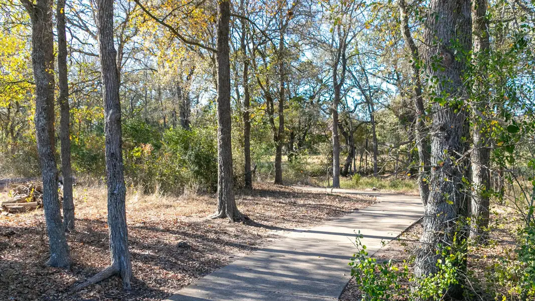 Natural landscape and outdoor views near The Colony 60' in Bastrop (Image 9).