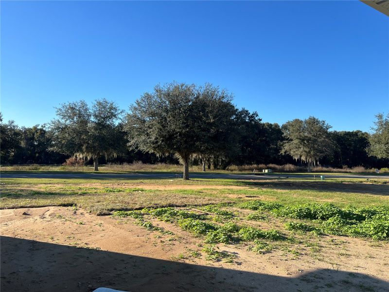 Natural landscape and outdoor views near Hill Country Estates in Dade City (Image 21).
