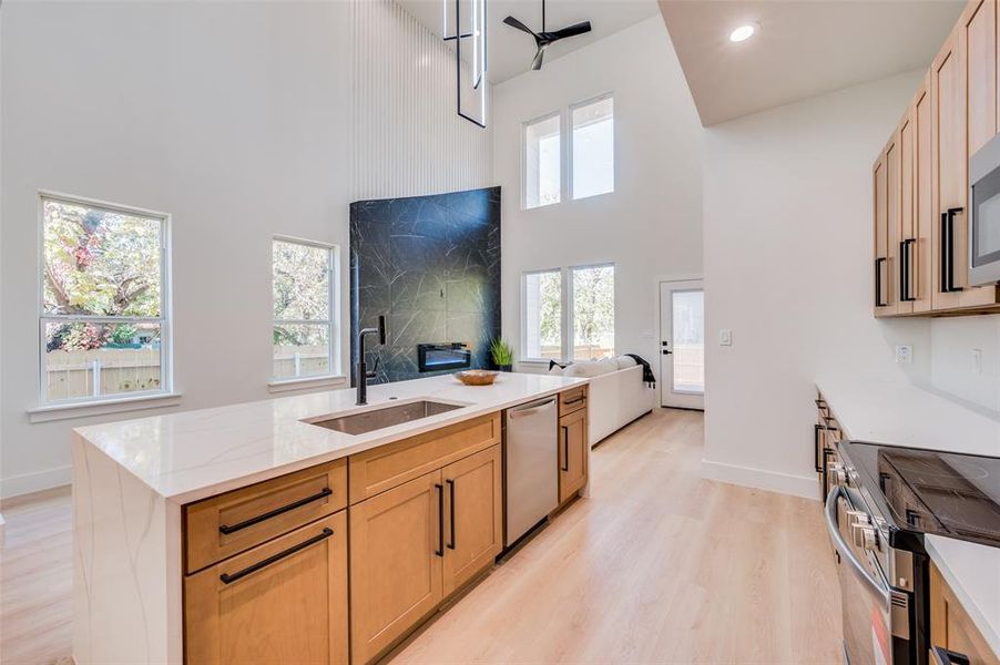 Kitchen featuring stainless steel appliances, light hardwood / wood-style flooring, plenty of natural light, and sink