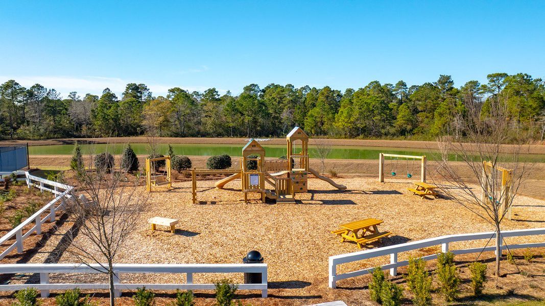 Community amenities in Sheep Island, Summerville (Image 38). Community amenities in Sheep Island, Summerville (Image 38).