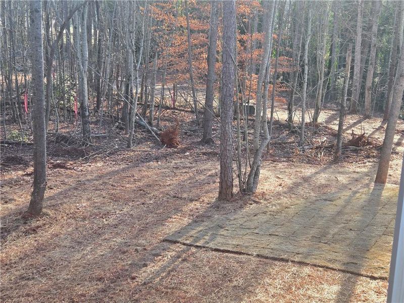 Natural landscape and outdoor views near  in Demorest (Image 30).
