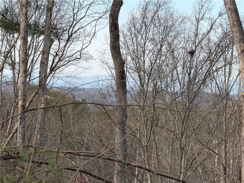 Natural landscape and outdoor views near  in Ellijay (Image 50).
