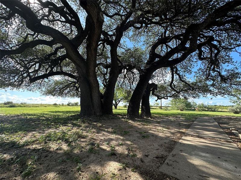 Image 18 of a home in .
