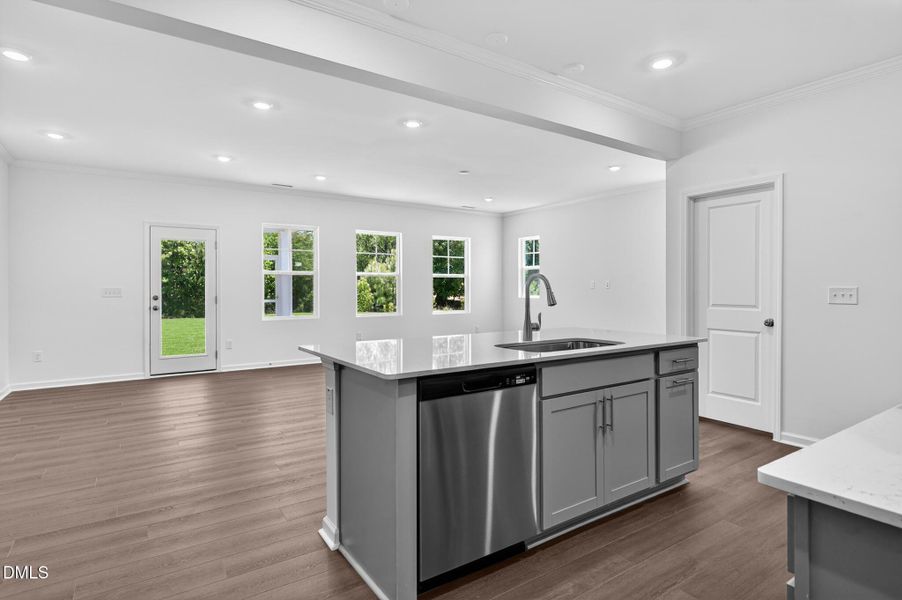 16_1108_Barred_Owl_Trl-Kitchen-8034 16_1108_Barred_Owl_Trl-Kitchen-8034