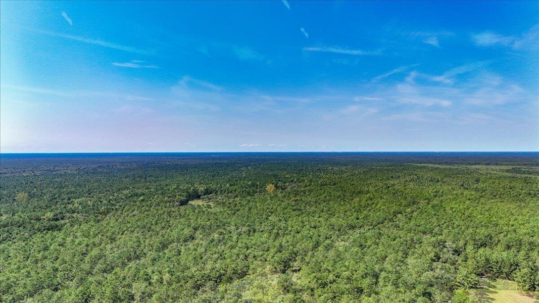 Natural landscape and outdoor views near  in Cordesville (Image 41).