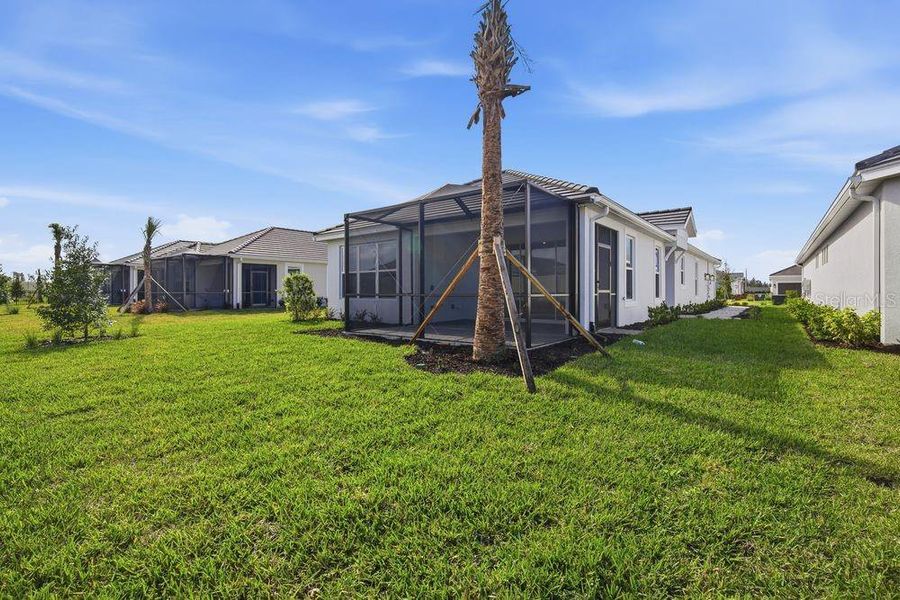 Exterior details and patio area of a home in Esplanade at Wiregrass Ranch, Wesley Chapel (Image 4).